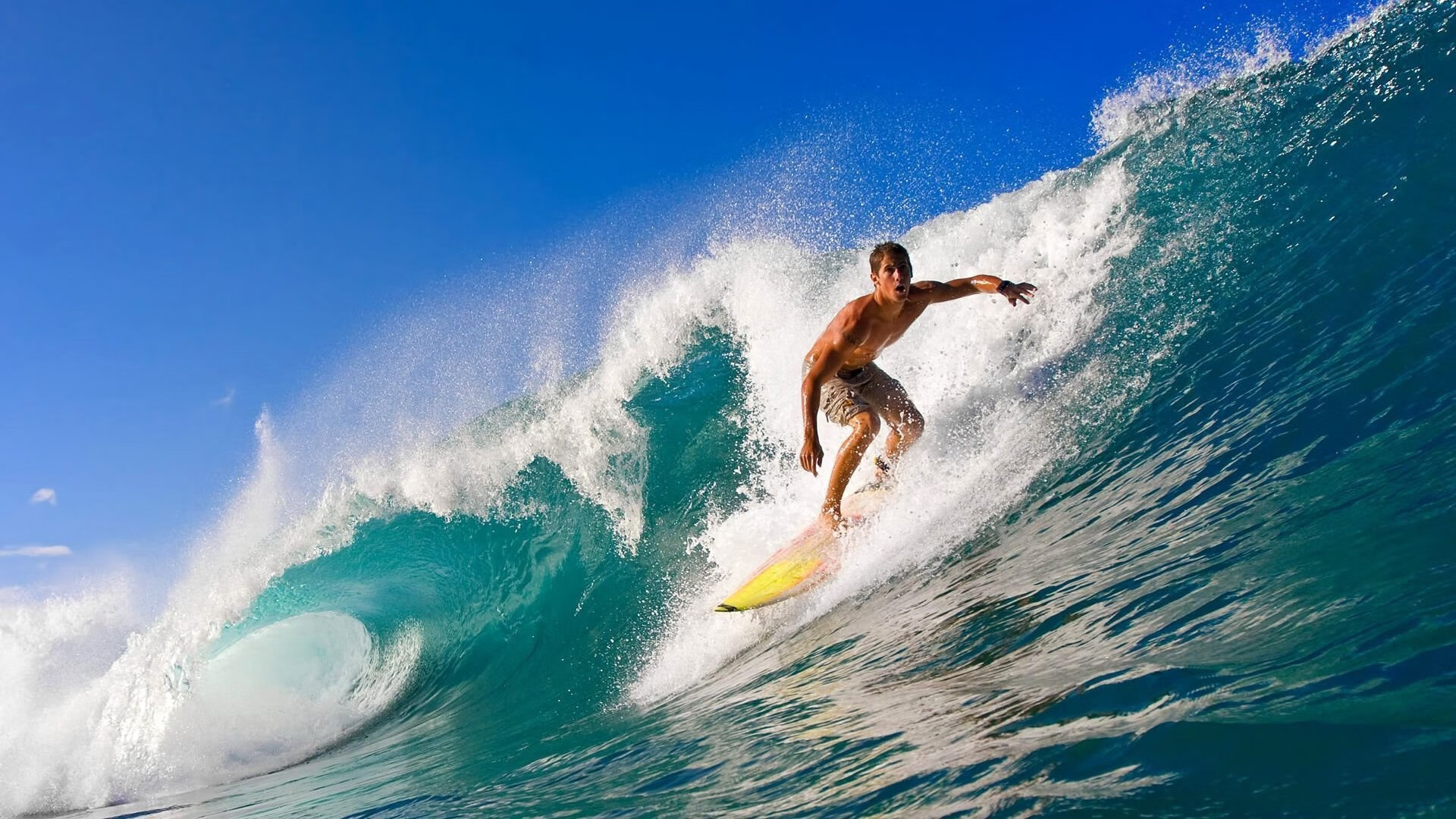 奇库诺娃冲刺阶段展现王者气质，库奇娜百度百科