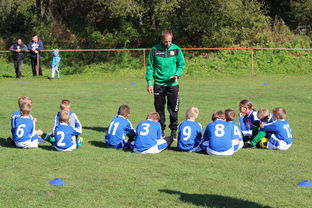 欧洲杯冠军悬念：战术配合与个人能力巅峰对决，欧洲杯冠军大热门